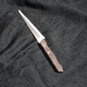 Vintage Wood Handle Steak Knife Serrated Stainless Blade Rustic MCM Kitchen Tool